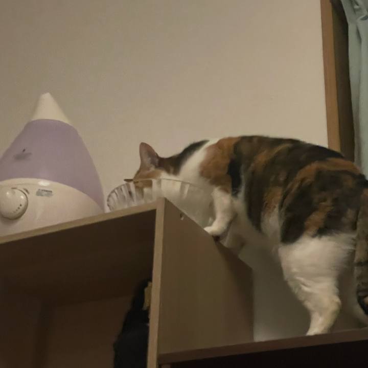 8edfae76 14fa 4fd9 a228 912c4e0fef2c 1683628268057