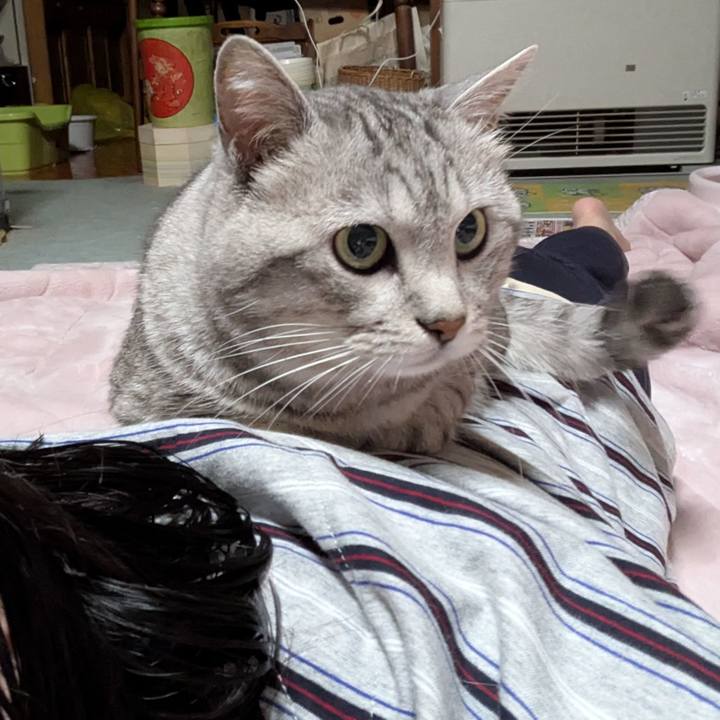 8edfdfec 8d5c 4124 972a 88ffe6e4c4a0 1750263299715