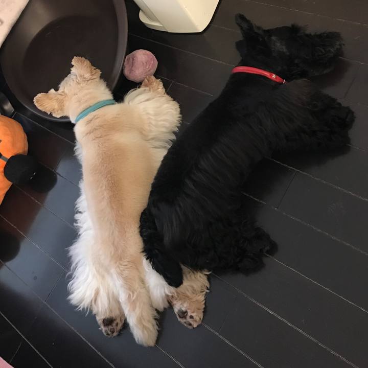 8ee019c2 a39b 45af b0ab 614e9241f39b 1531875369348