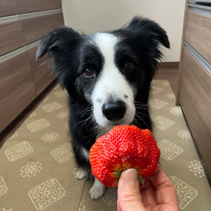 8ee030fe cf95 479a a24e 45864a109ad2 1770525737452