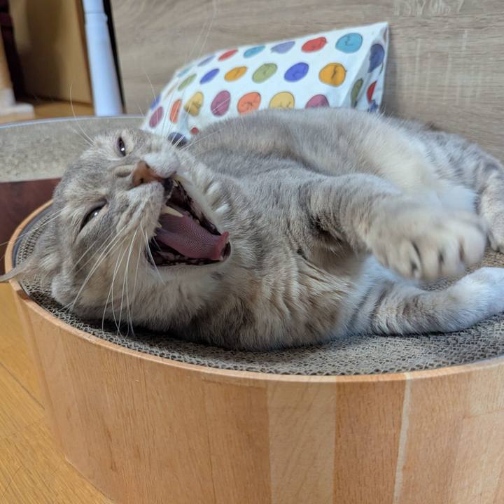 8ee035a6 d72f 4fca 8706 bcc932e40c17 1747979906457