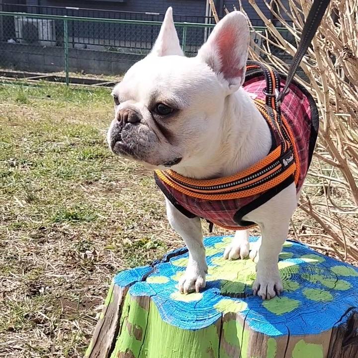 8ee0456a fc75 4412 9c8e 84627b0ae543 1677977307371