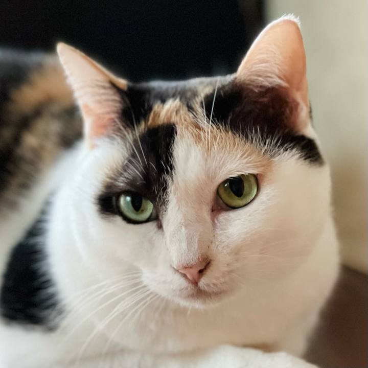 8ee07b12 eaab 405e 9361 410009123c13 1632793598631