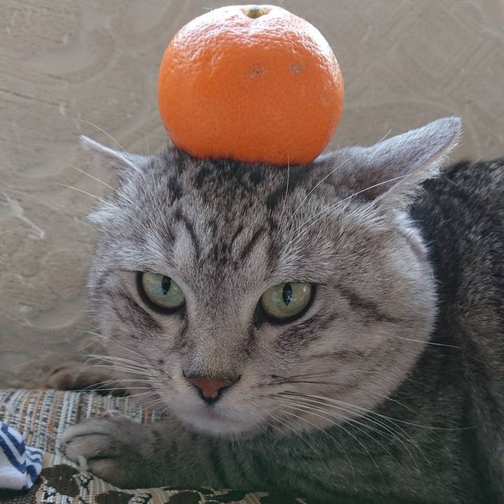 8ee07f21 2722 4c8f ab79 5f6cd045c750 1577839725082