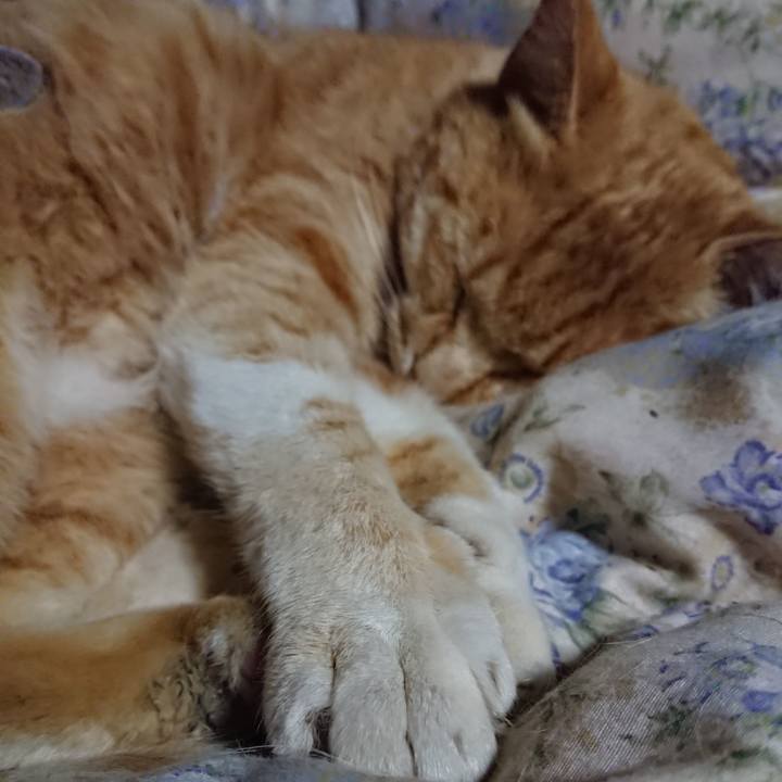 8ee0a564 0cd1 476b 988f f22a9fe13b7a 1590584430295