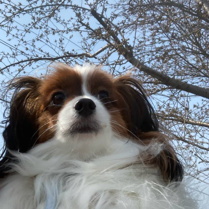 8ee0c0d9 9770 4c2d a0f3 e463aca3cc79 1650331115089