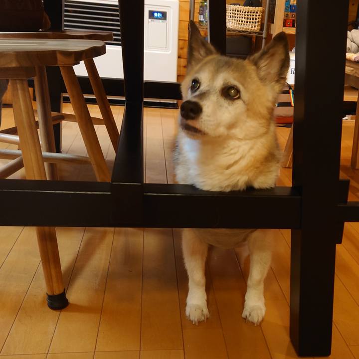 8ee0c659 1bf4 4c22 ab42 667a4c0c432e 1759491382989