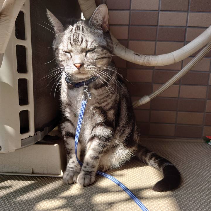 8ee0ee08 f024 417e 8a52 4c0080c60eea 1633660712944