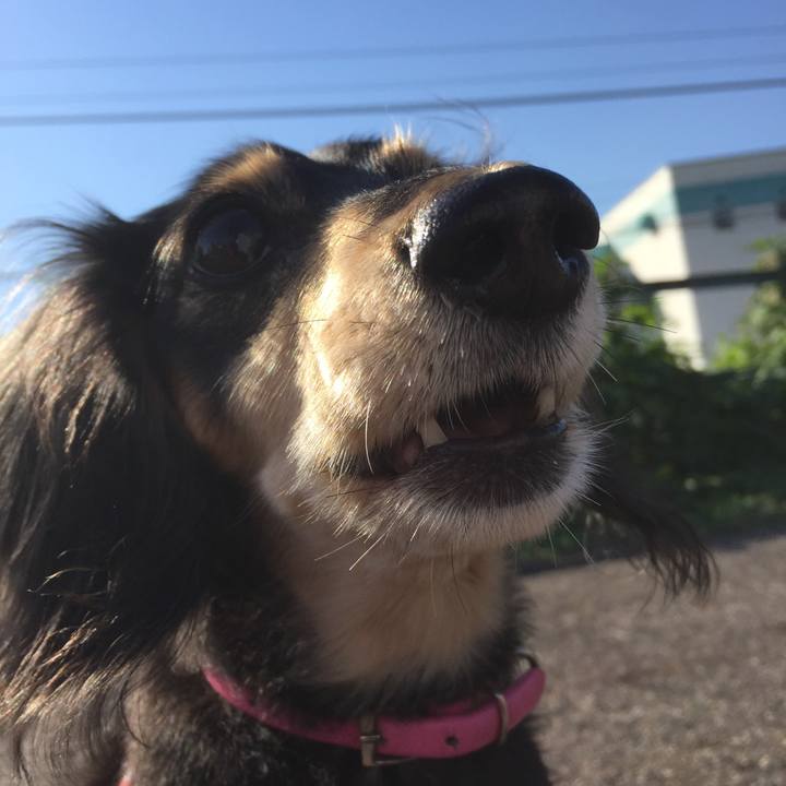 8ee0ef63 7f32 4c58 a5e2 7317a578719c 1540858397623