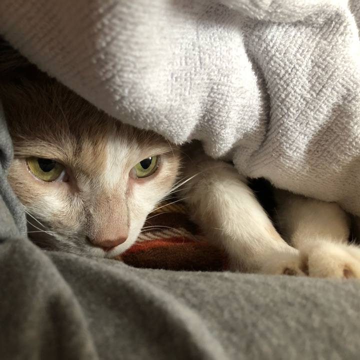 8ee0efbf dfda 4529 b1d6 bee99b9a6577 1514184727133