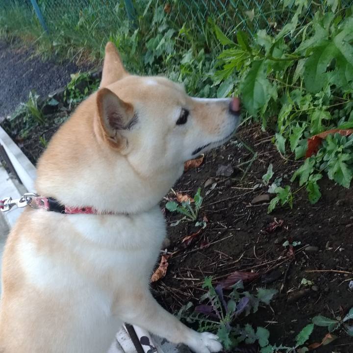 8ee101e5 81e2 4f3c b26c ee6e4ad9de7f 1598477150830