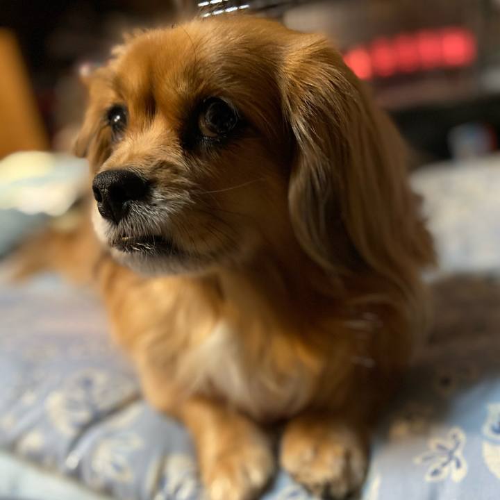 8ee10c51 e60c 45c4 af09 04ec008b1034 1611266372077