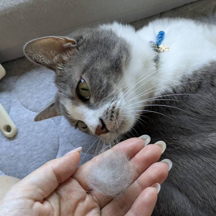 8ee116af f2a9 44db b1f4 2bf45c308dbe 1756516330904