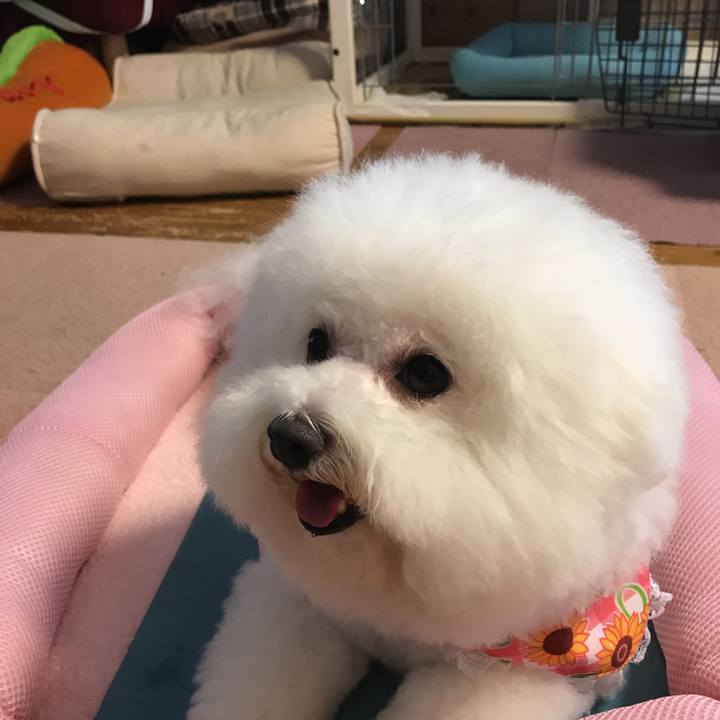 8ee134c7 c854 4c96 93ca 6048b5ea5d31 1534839755950