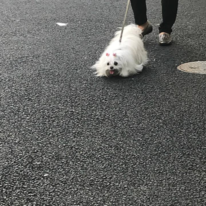 8ee14184 10c2 4a00 b5bb bdbb8d4fe74c 1532852147226