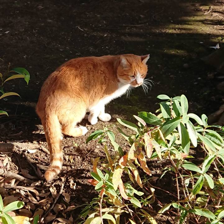 8ee15ac2 e91f 47ca 9edb a3aa058929fe 1640510278154