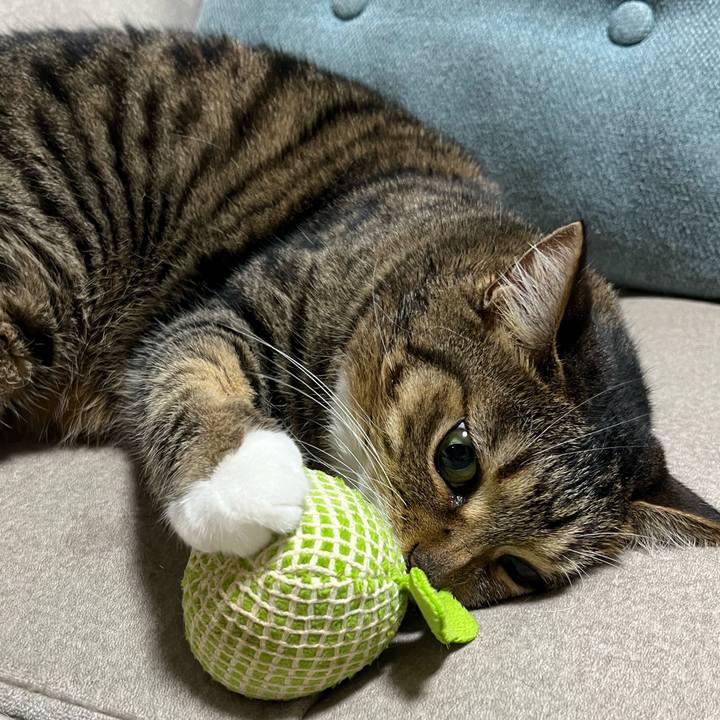 8ee15dca e93d 4a75 b770 31dd50b756a0 1761055411234