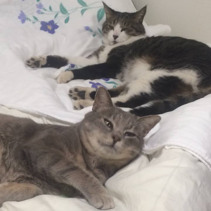 8ee18495 8329 4cf4 aab0 2fdf6ef13ab4 1512274931979