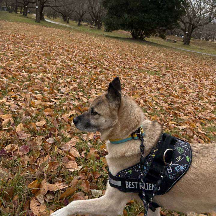 8ee1bf57 6745 408e 89d7 41f6e2a7ba9d 1734266391319