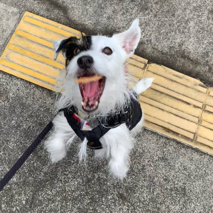 8ee1ca51 eb98 42dc 96f8 db3dbdbe328c 1673831138678