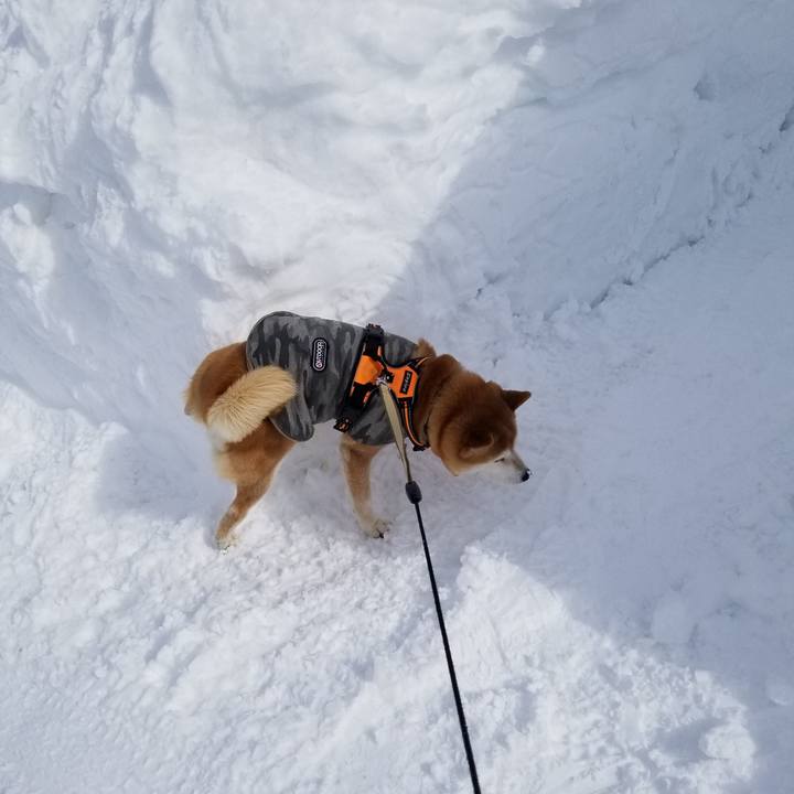 8ee1d14f be6a 49ec a0aa 51c70320167d 1644225113532