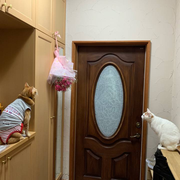 8ee1d840 58c2 482f 84e4 d1b57561d761 1610286902683