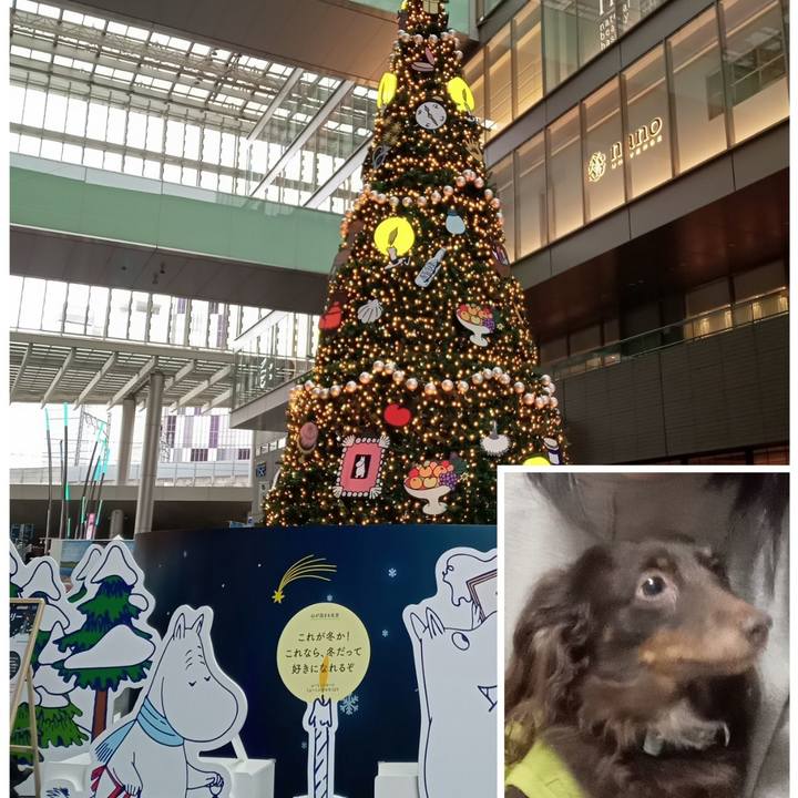 8ee1de4c 7a33 4b32 9a46 5a9f65cc89bf 1763935990266