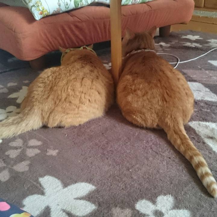 8ee1e197 c2c0 4105 a8e0 57ba6d48184a 1510719748967