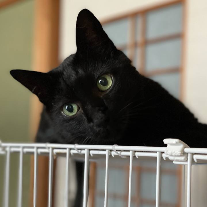 8ee1fc43 1844 46c9 876c 26993c1722df 1624327907087