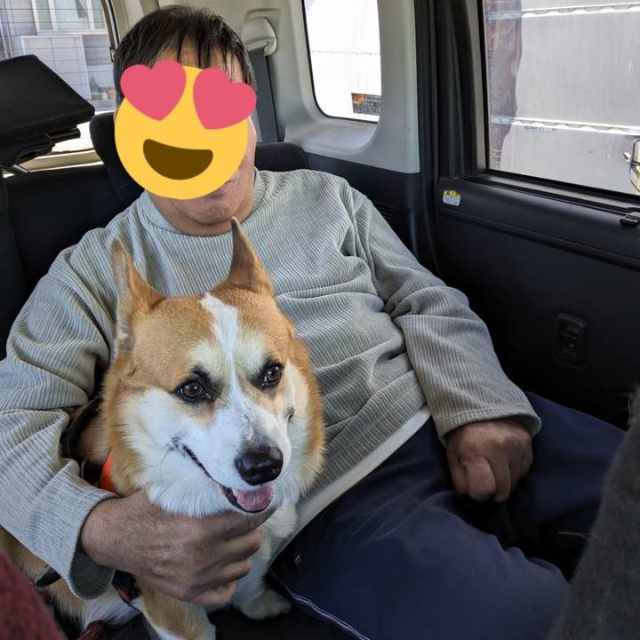 8ee23f9c 00a8 4f54 a364 f3494d7cc62a 1717296176022