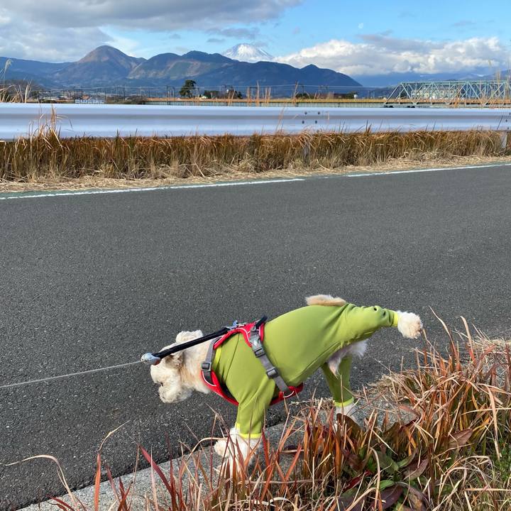 8ee24770 2b88 43c7 8b72 eda7bbcaf3d2 1609637265607