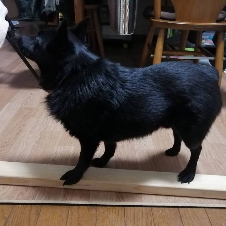 8ee24d73 59fe 4e2a a387 93f639881a82 1644233861645