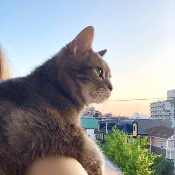 8ee266ac d89b 4d17 8be8 99858f006147 1564911430028