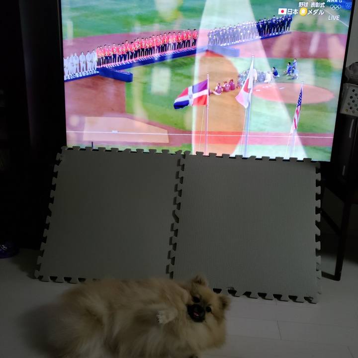 8ee280ad 8555 47dc b73c 10d12f50bd2d 1628345066716