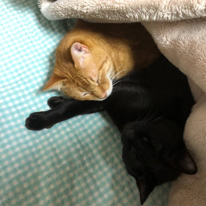 8ee281c8 9850 4ccf ae24 102ee3f620e3 1733048291149