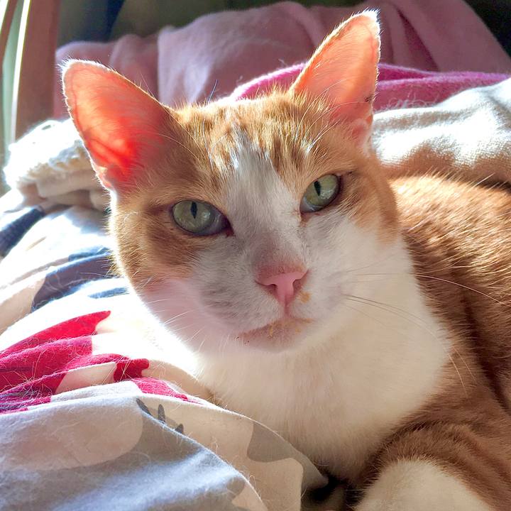 8ee2d790 4030 4825 9773 2df0feb4910e 1579930939648