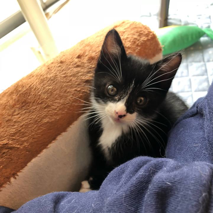 8ee2d861 78d0 49a5 9164 e78ca0ede068 1538057310495