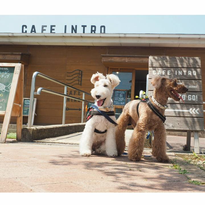 8ee2dfc2 a464 478f 9abd ac0e670d1090 1533279944544