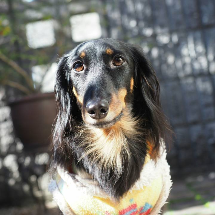 8ee31395 ffce 4b21 86ff a5d04440e5b7 1548134716715