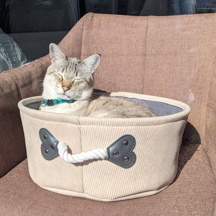 8ee33199 1797 44cc 846b c399b8e06bb2 1768361773529