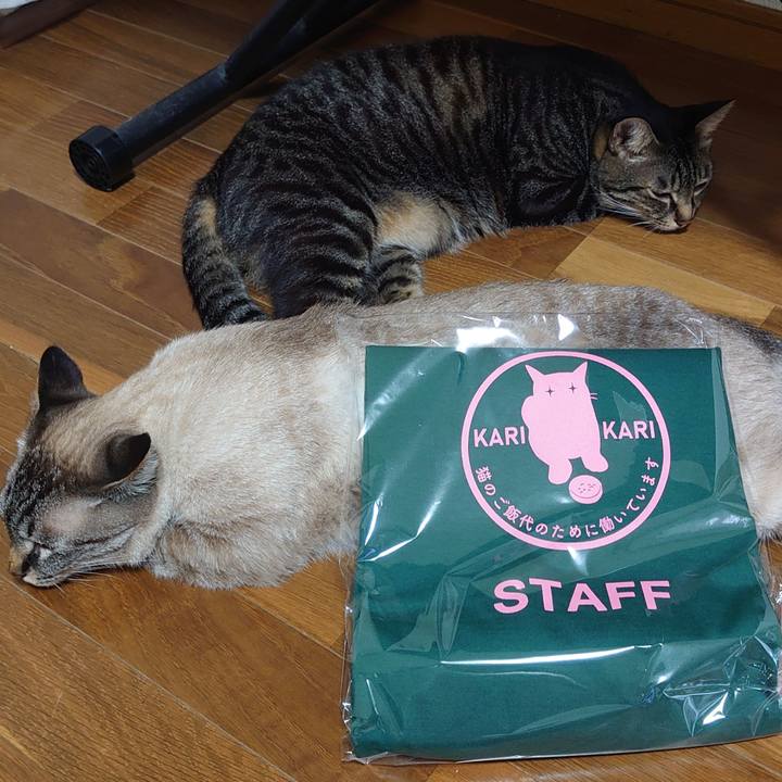 8ee364f4 289f 4453 8c1c 2d6f6ba61515 1690535133433