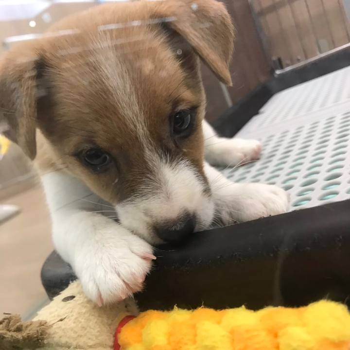 8ee37207 fc51 4ecc 8cf0 817f04523474 1593138218793