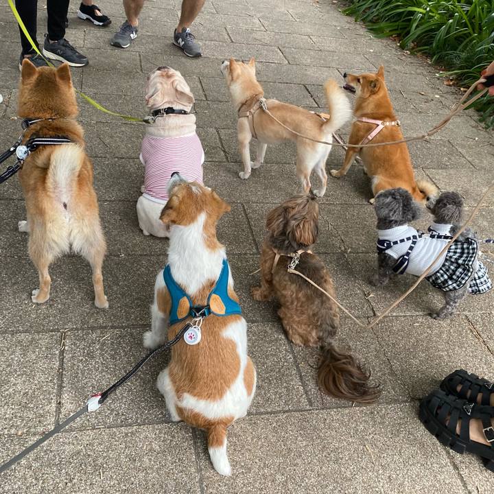 8ee379f4 b4c2 44d8 84e2 bd9b50451be9 1663504813837