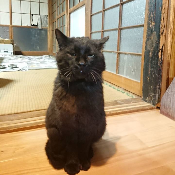 8ee38229 93a7 41ba be1e 33bb6956c653 1621767769837