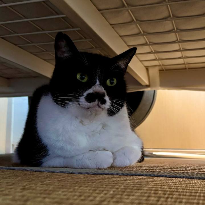 8ee398a3 82a5 4d45 ac98 766991d94fc5 1766715297022