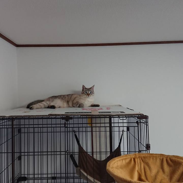 8ee3a1c8 2748 409e a225 66f0c980c268 1514078014431