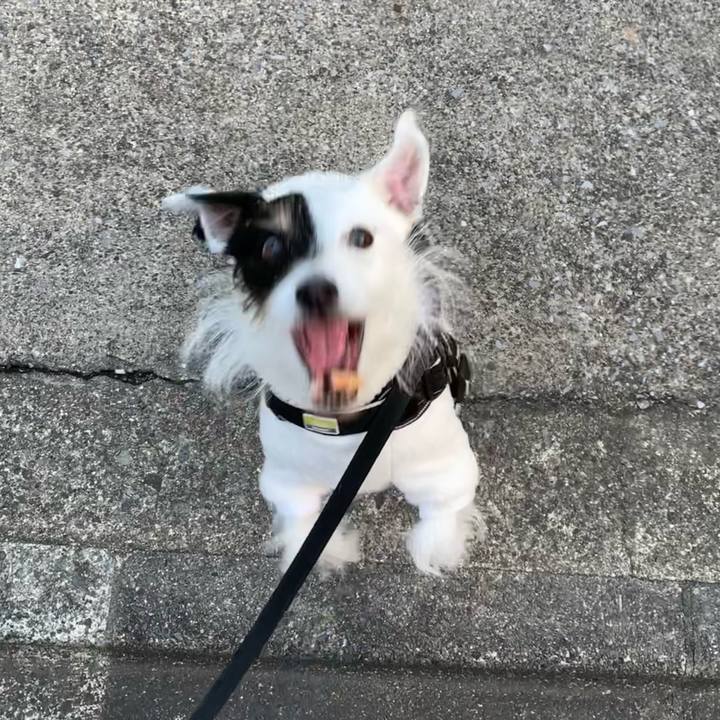 8ee3af3e adb0 43b0 a3b1 59ee3035ec60 1673940043030