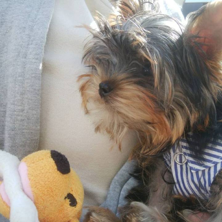 8ee3c295 03fb 44ce aab3 9a56900721c9 1590214461939