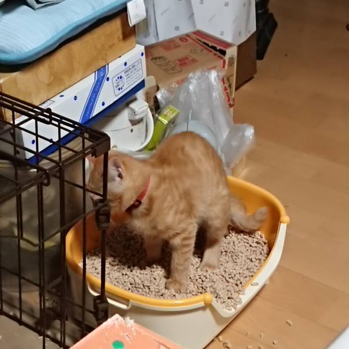 8ee3dee1 0ef5 4d5f 936e 267236cf710c 1633383534408