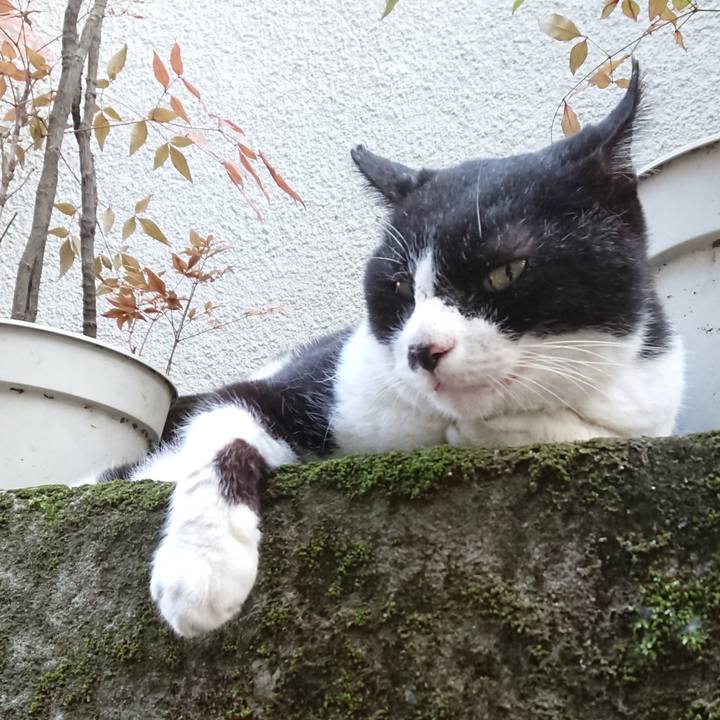 8ee404d8 55a7 4eff be60 b54f99b79630 1597741102382